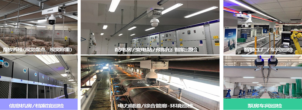 轨道机器人行业应用.jpg